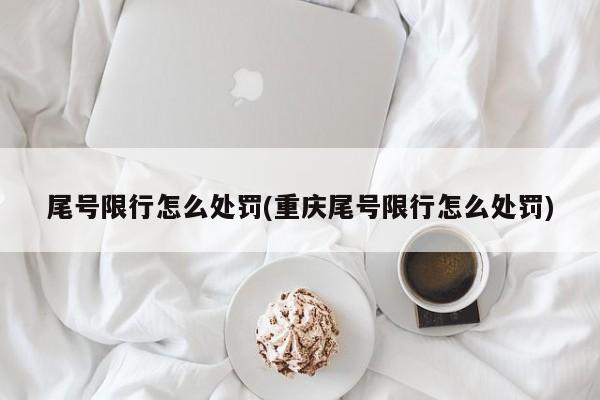 尾号限行怎么处罚(重庆尾号限行怎么处罚)