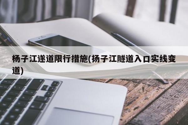 杨子江遂道限行措施(扬子江隧道入口实线变道)