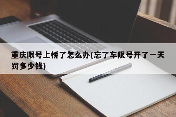 重庆限号上桥了怎么办(忘了车限号开了一天罚多少钱)